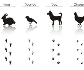 Animal literacy table vector