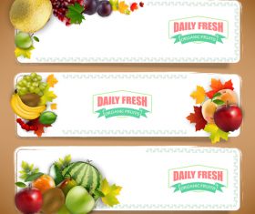Banner fruit vector