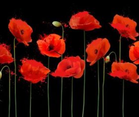 Bright-coloured poppies vector