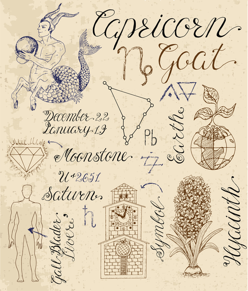 Capricorn or Goat zodiac sign vector