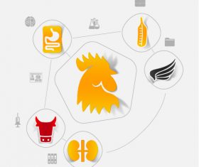 Chicken sticker infographic vector