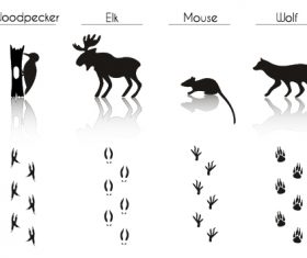 Different animal literacy table vector