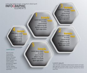 Gray hexagon graphics info vector