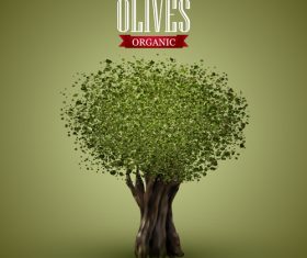 Olive tree vector