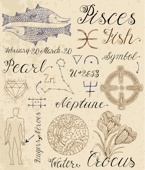 Pisces or Fish zodiac sign vector