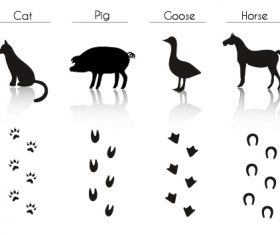Poultry and footprint silhouette vector