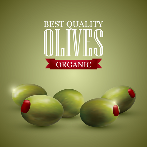 Premium olive vector