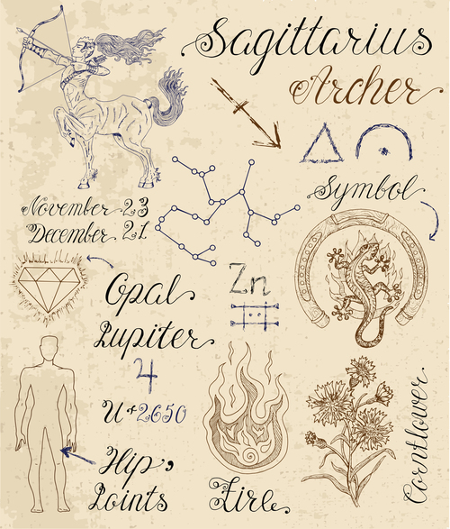 Sagittarius or Archer zodiac sign vector