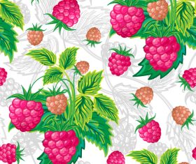 Seamless backgrounds with berries vector