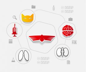 Veterinary sticker infographic vector