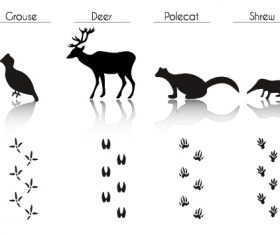 Wild animal literacy table vector