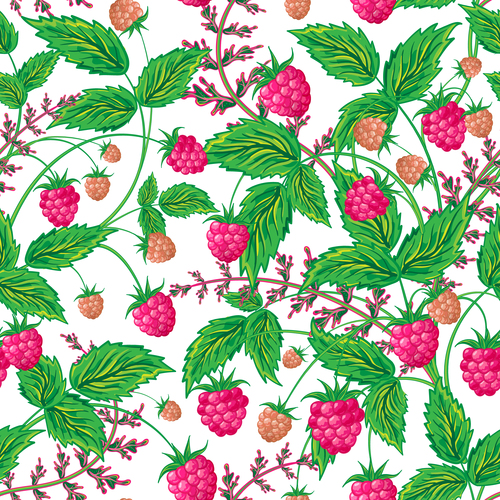 Wild berries seamless pattern vector