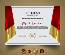 Advanced diploma certificate vector