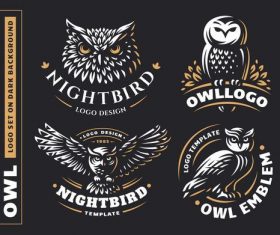 Dark background owl logo design vector
