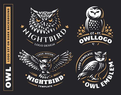 Dark background owl logo design vector