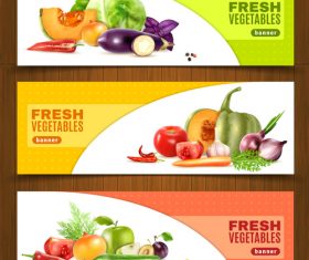 Different kinds of fresh fruits and vegetables banner vector