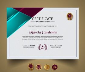 Diploma certificate vector