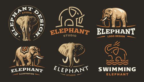 Elephant studio logo design vector