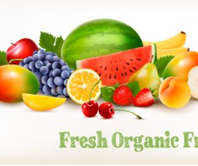 Food background with colorful organic fruits vector