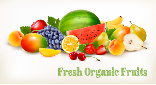 Food background with colorful organic fruits vector