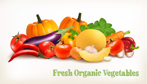 Food background with fresh vegetables vector