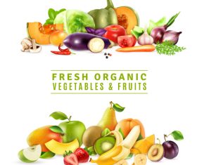 Fresh organic vegetables fruits vector