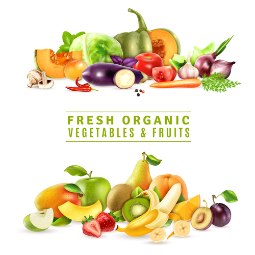 Fresh organic vegetables fruits vector