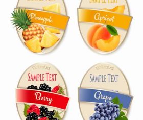 Fruit label vector