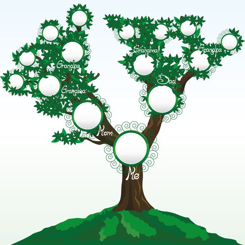 Geneaologic tree vector