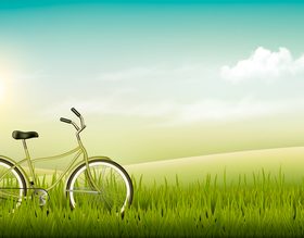 Green grass and bike vector