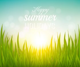 Green grass and light sun vector