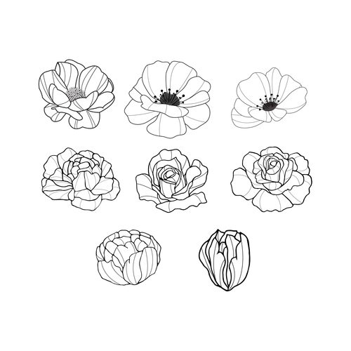 Hand drawn flowers vector