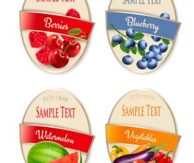 Labels with fruit and berries vector