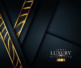 Luxury dark vector black background
