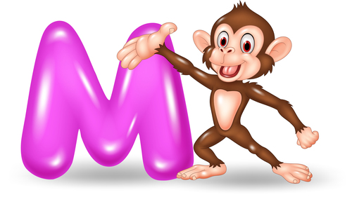 Monkey and alphabet vector
