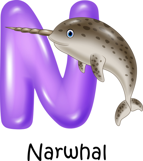 Narwhal and alphabet vector
