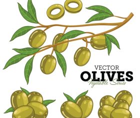 Olives background vector