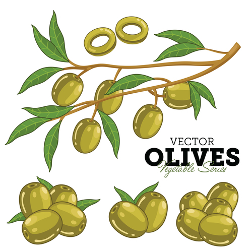 Olives background vector