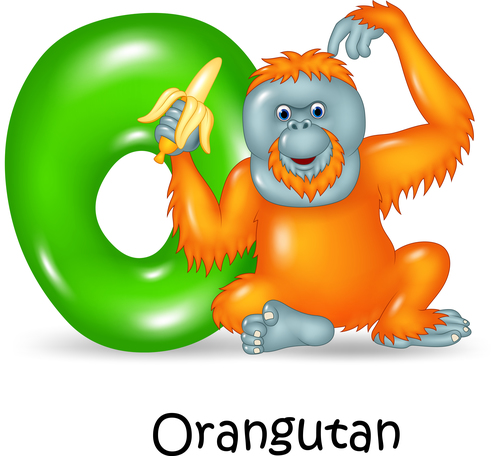 Orangutan and alphabet vector