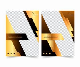 Ordinary cover company brochure design vector