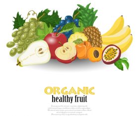 Organic healthy fruit vector