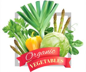 Organic veg frame on white vector