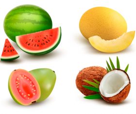 Summer fruit vector