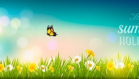Summer nature banner vector