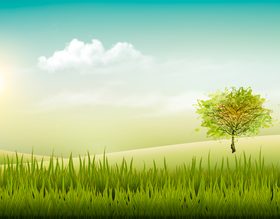 Summer scenery background vector