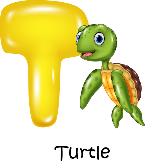 Turtle and alphabet vector