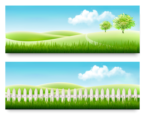 Two summer nature banner vector