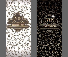 VIP card combination vector