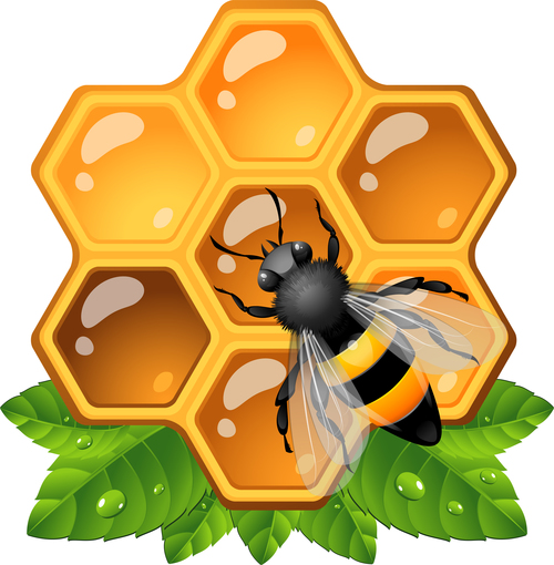 Bee jelly and hornet vector