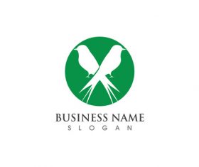 Bird logo design vector